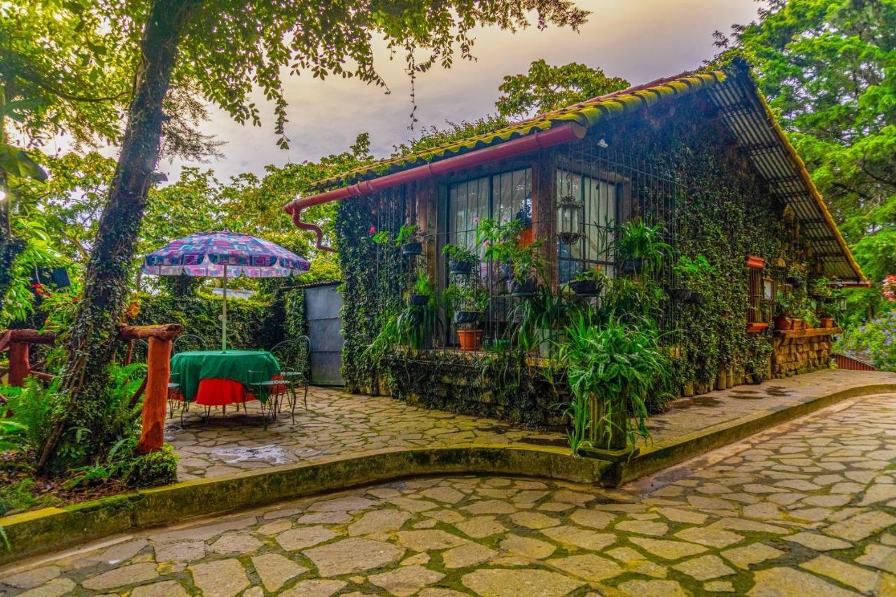 Los Naranjos Town Houses Luaran gambar